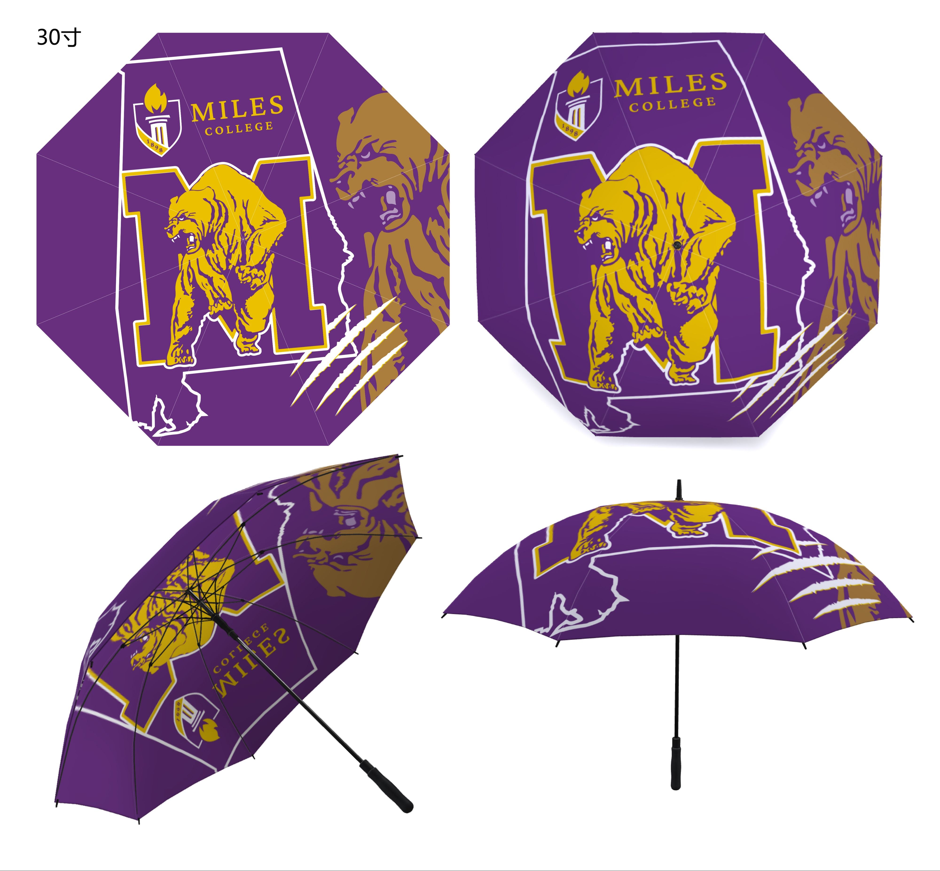 HBCUonly Umbrellas - Golf size