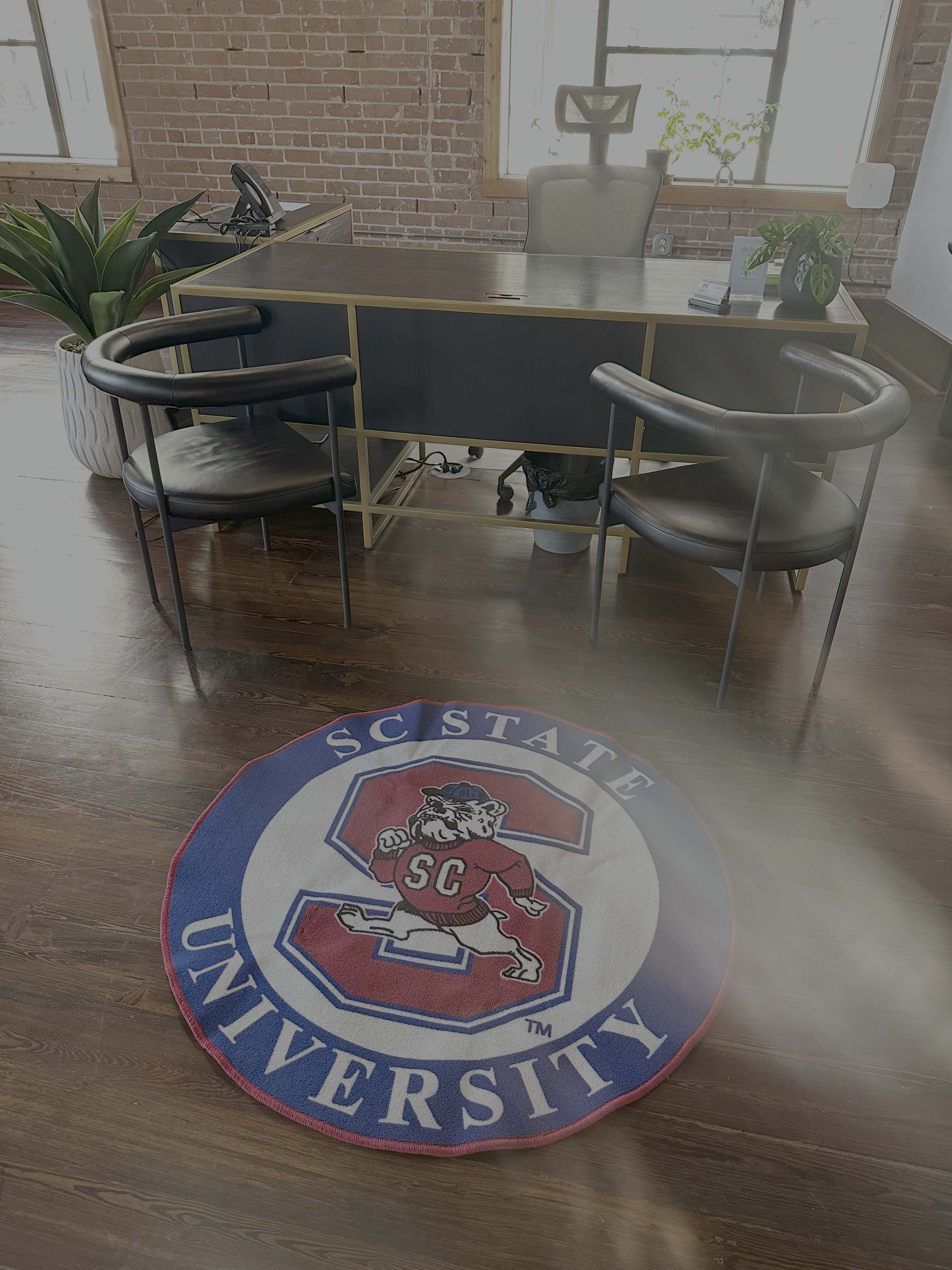 Round Rug (SCSU) - RAFFLE