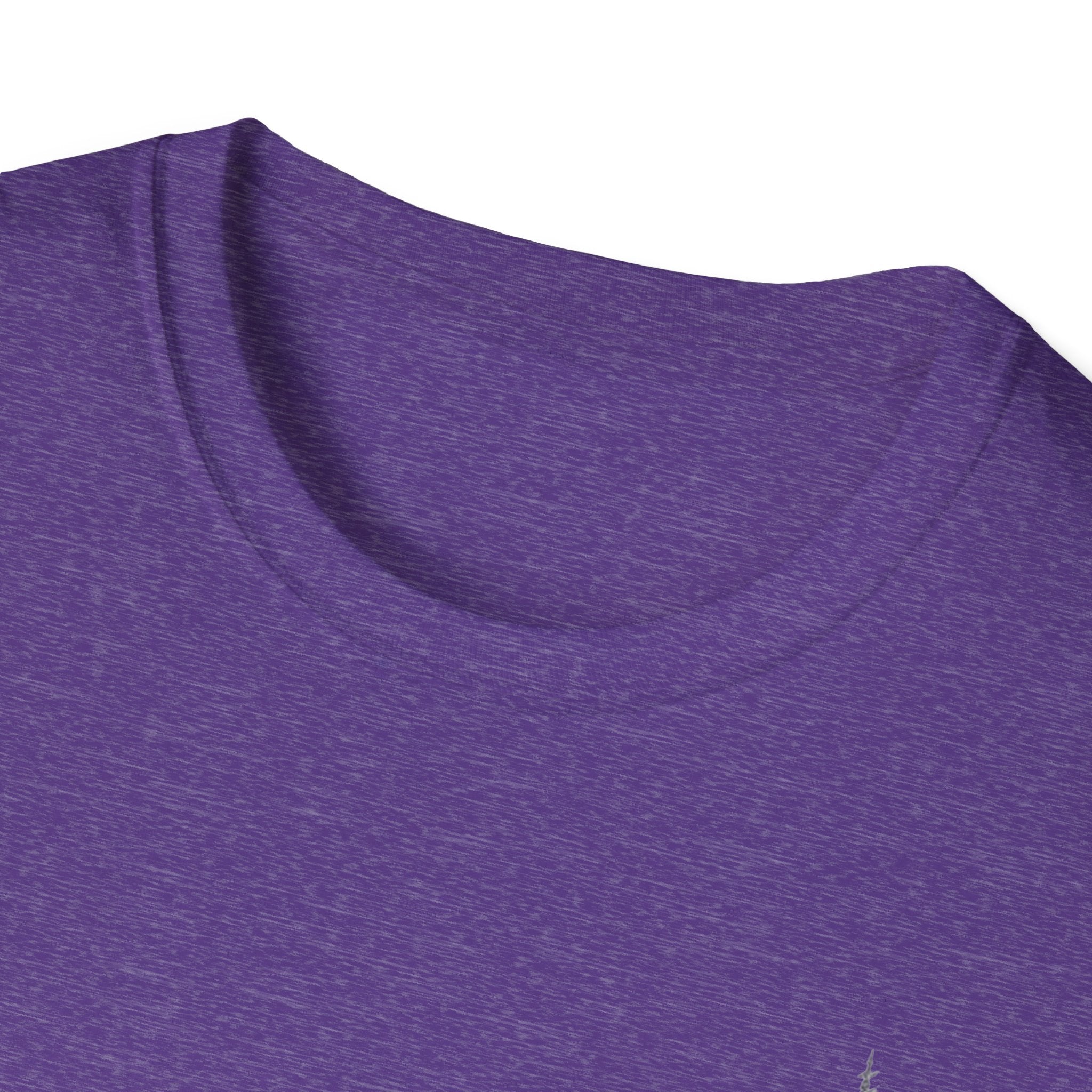 Morris Brown College Alumni Status T-Shirt- Unisex Softstyle