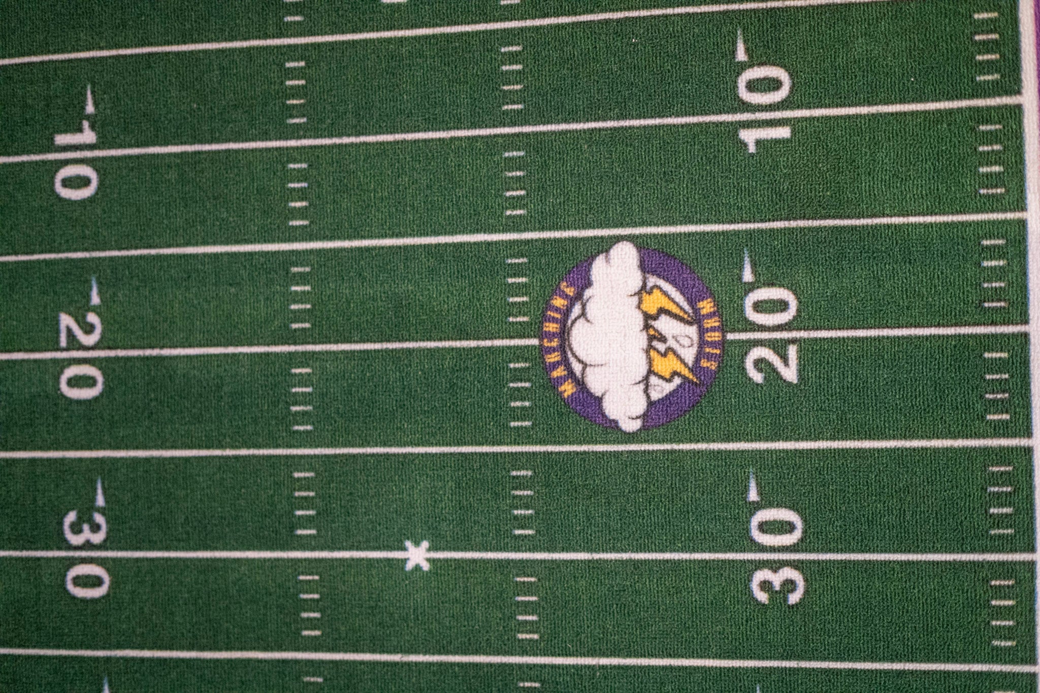 Football Field Rug - PVAMU