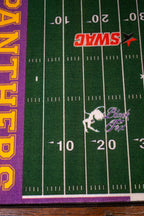 Football Field Rug - PVAMU