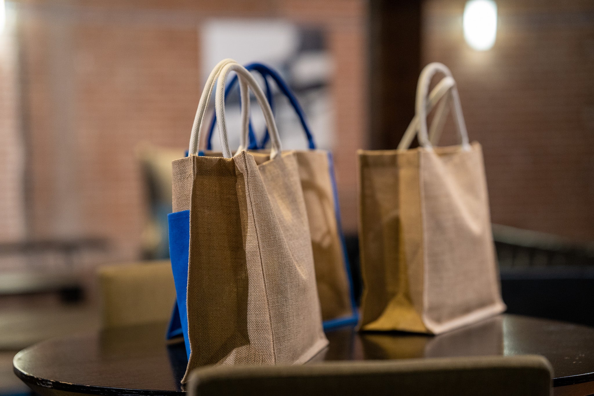 GOBIGBLUE - Canvas Tote Shopping Bag