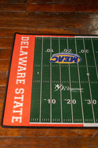 Football Field Rug - Delaware State