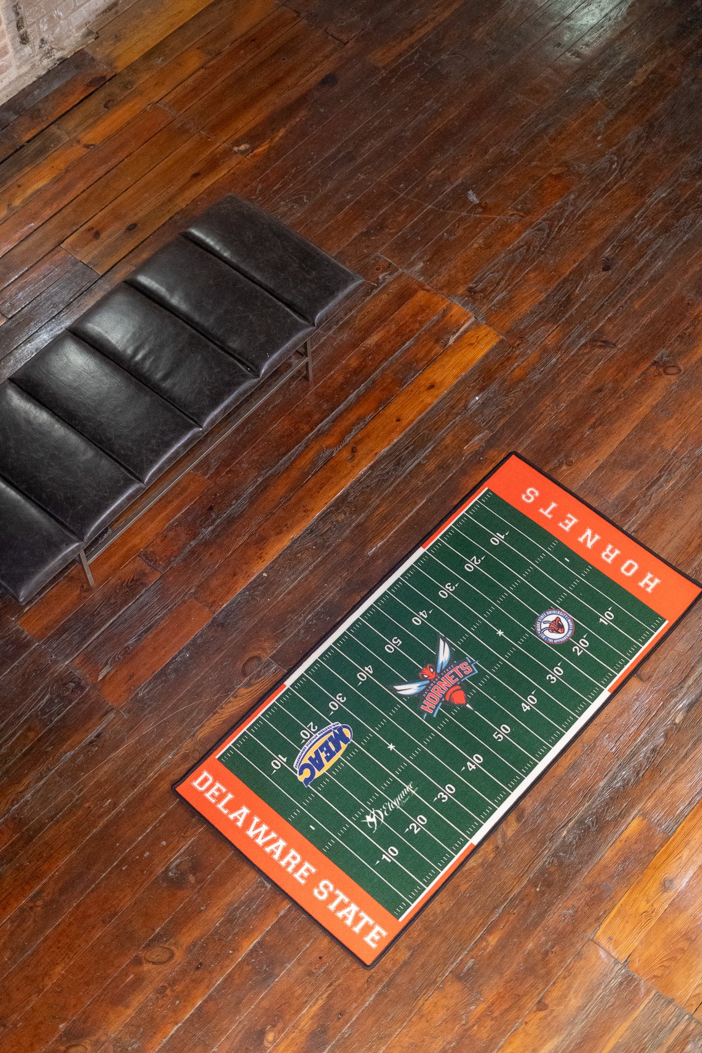 Football Field Rug - Delaware State