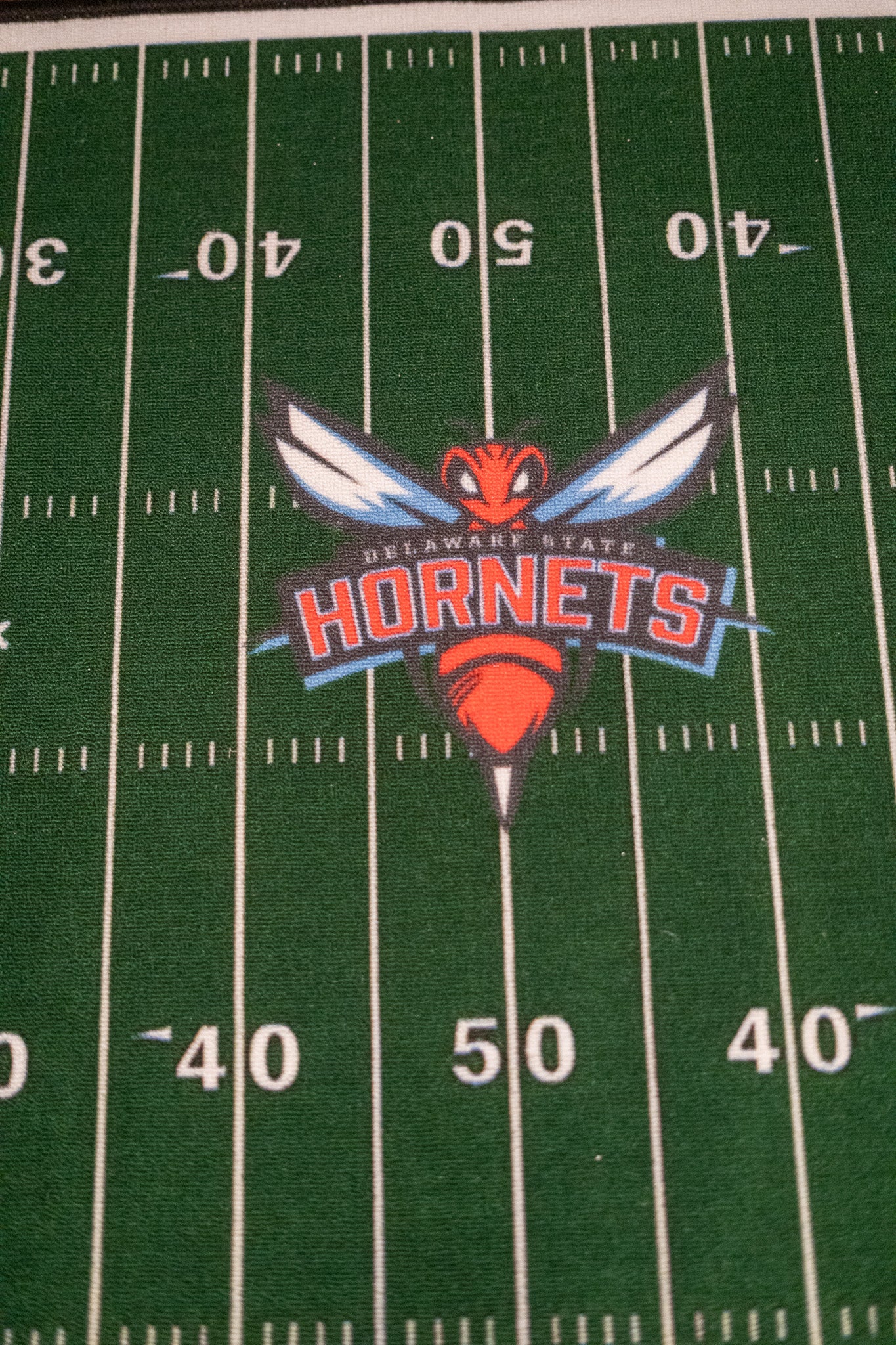 Football Field Rug - Delaware State