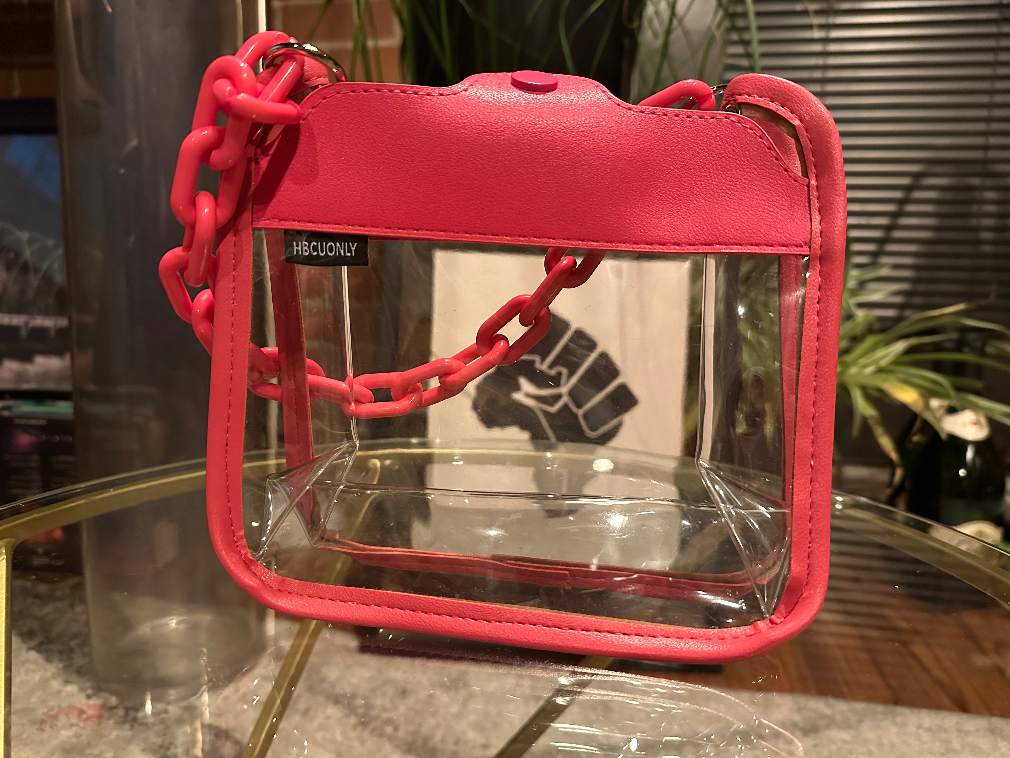 Clear Bag, Crossbody Bag with Front Chain, Transparent Messenger Handbags