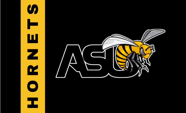 HBCUonly Beach towels