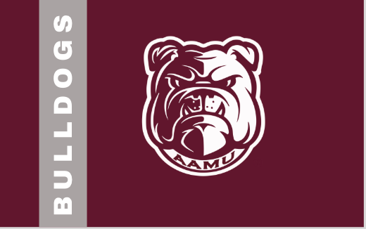 Sand-Free Microfiber HBCU Beach Towel