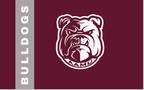 Sand-Free Microfiber HBCU Beach Towel